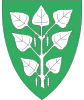 درع Bjerkreim Municipality