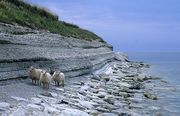 Osmussaar is one of many islands in the territorial waters of Estonia.