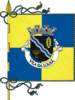 علم لوزان Lousã
