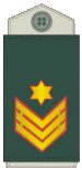 OR10 IDF Rav-Negad.gif