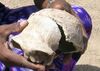 Gawiscranium.-detallejpg.jpg