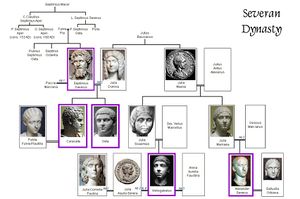 Severan dinasty tree.jpg