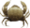 بذرة قشريات.png