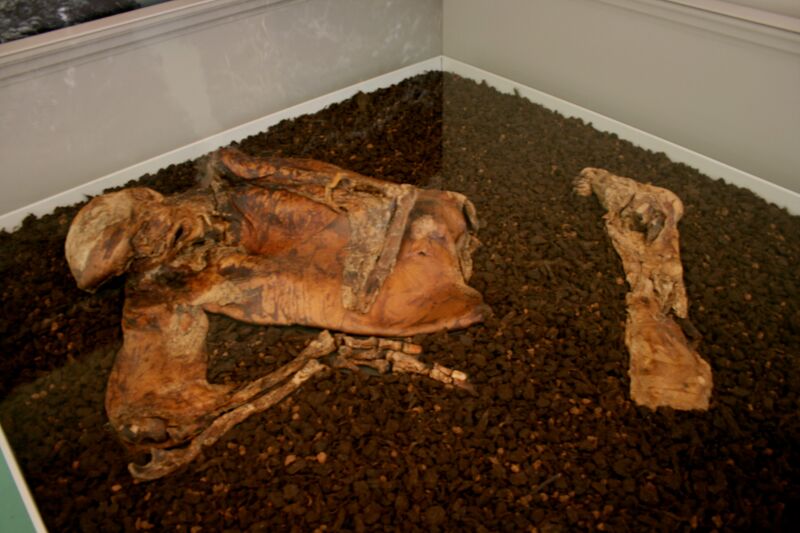 ملف:Lindow Man 1.jpg