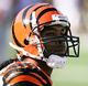 TJ Houshmandzadeh.jpg
