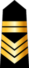 Grade Marine tunisienne E7.png