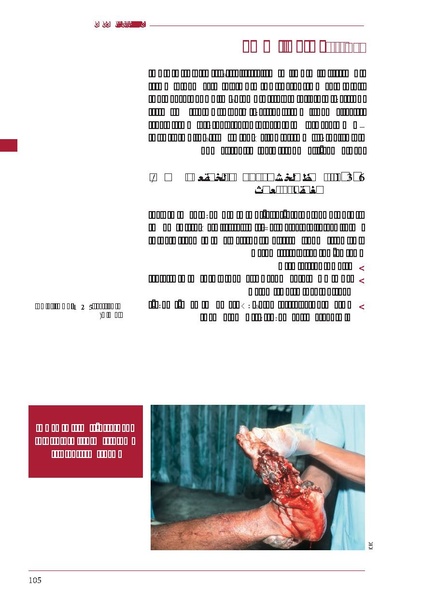 ملف:ICRC 004 0870.PDF