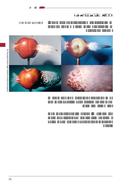 ملف:ICRC 004 0870.PDF