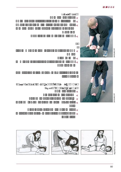 ملف:ICRC 004 0870.PDF