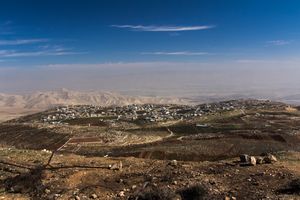 Peace Now Price Tag 310114 010.jpg