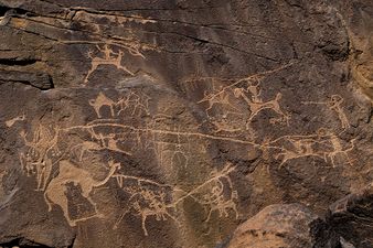 Richard-Wilding-Saudi-Arabia-Bir-Hima-and-Rub-al-Khali-009.jpg