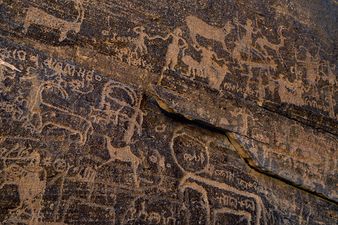 Richard-Wilding-Saudi-Arabia-Bir-Hima-and-Rub-al-Khali-021.jpg