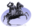 P history.png