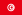 Flag of تونس