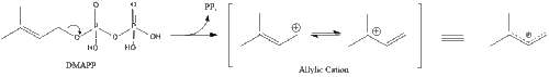 Cation formation from DMAPP.gif