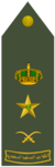 FARIQ (RSLF).png
