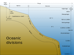 Oceanic divisions.svg