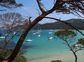 The beach of la Courtade in the Îles d'Hyères,  فرنسا