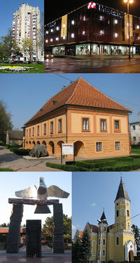 من أعلى اليسار: Vodotoranj (مبنى برج الماء)، Mercator department store in city centre, Turopolje Museum, نصب تذكاري للجنود الذين سقطوا في حرب الاستقلال الكرواتية، ابرشية كنيسة Annunciation of the Blessed Virgin Mary
