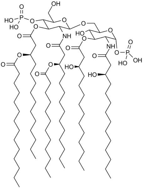 ملف:Lipid A.png