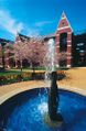 SLU Village Apartments.jpg