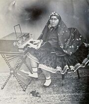 أنيس الدولة.
