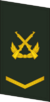PLAGF-Collar-0703-CPL.png