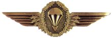 Fallschirmspringerabzeichen der Bundeswehr in Bronze.jpg