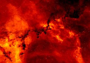 Redrosedust wright f2000.jpg