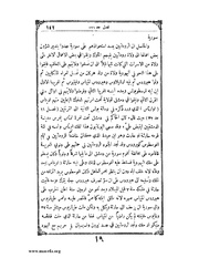 الصفحة التالية &larr;