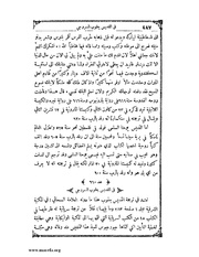 الصفحة التالية &larr;