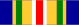 South African Police Service Gold Medal for Outstanding Service SOEG