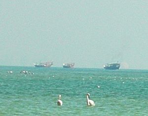 Qatif.jpg