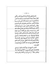 الصفحة التالية &larr;