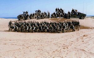 Soldiers training in desert