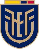 Shirt badge/Association crest