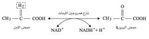 PAG6.JPG