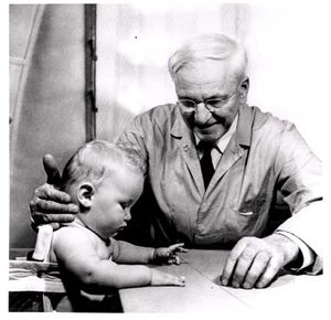 Gesellchilddevweb.jpg