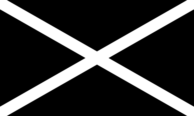 ملف:Auto racing disqualification flag.svg