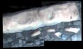 "Homestake" vein on Mars – viewed by the Opportunity Rover (November 12, 2012).