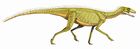 Silesaurus opolensis