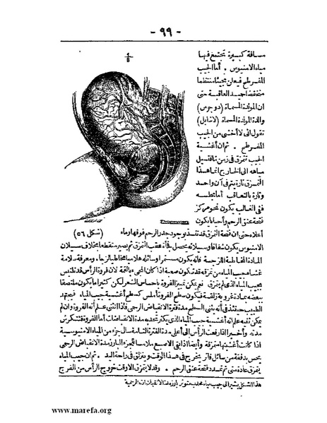 ملف:لمحات السادة في فن الولادة.pdf