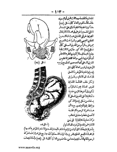ملف:لمحات السادة في فن الولادة.pdf
