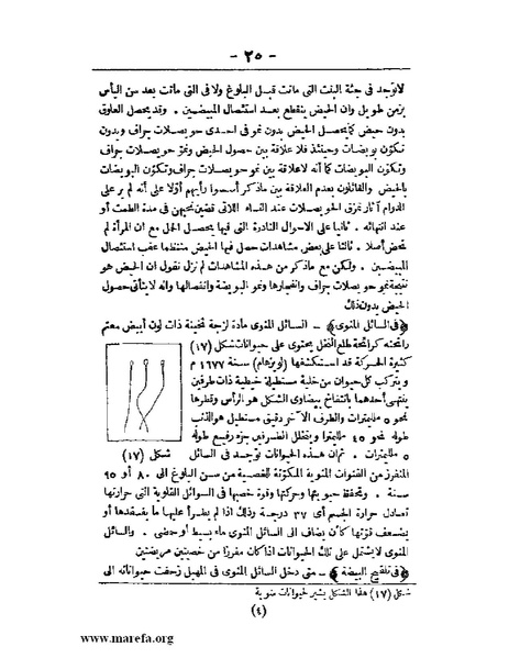 ملف:لمحات السادة في فن الولادة.pdf