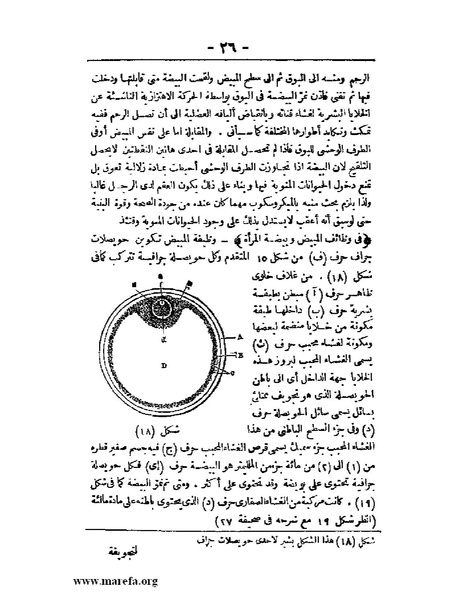 ملف:لمحات السادة في فن الولادة.pdf