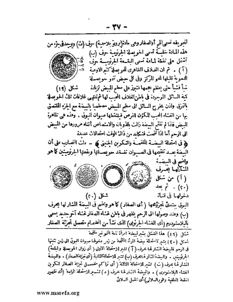 ملف:لمحات السادة في فن الولادة.pdf