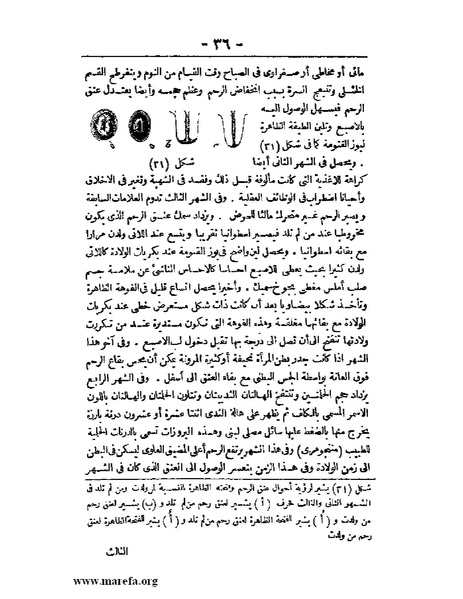 ملف:لمحات السادة في فن الولادة.pdf