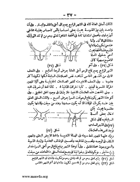 ملف:لمحات السادة في فن الولادة.pdf