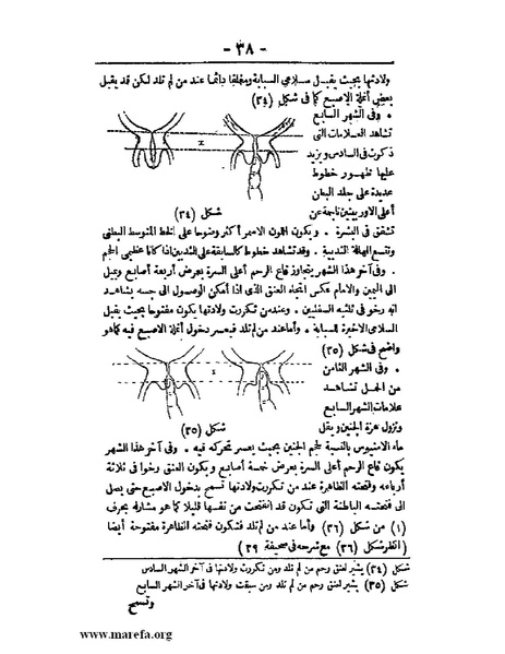 ملف:لمحات السادة في فن الولادة.pdf