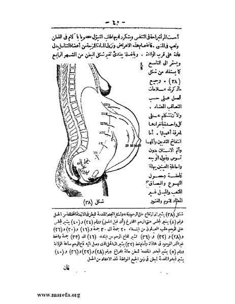ملف:لمحات السادة في فن الولادة.pdf